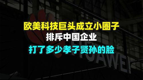 国产视频小圈子,揭秘本土影视文化的独特魅力