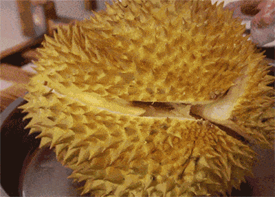 榴莲视频国产色板下载,解锁色彩灵感新源泉