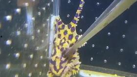 国产更多视频欣赏,多元题材，精彩纷呈