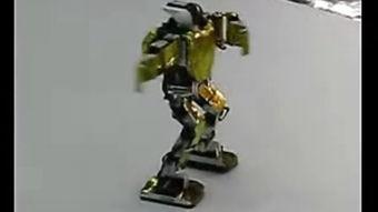 国产机器人慢动作视频,速度与力量的完美演绎