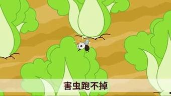 久久视频国产小青蛙,治愈系青蛙的奇幻冒险之旅