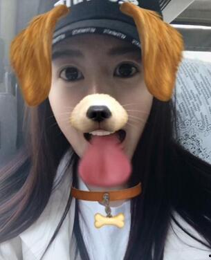 国产狗狗与女人视频播放,温馨瞬间引网友热议